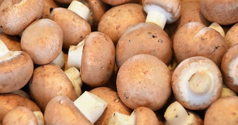 Unsplash/Waldemar Brandt