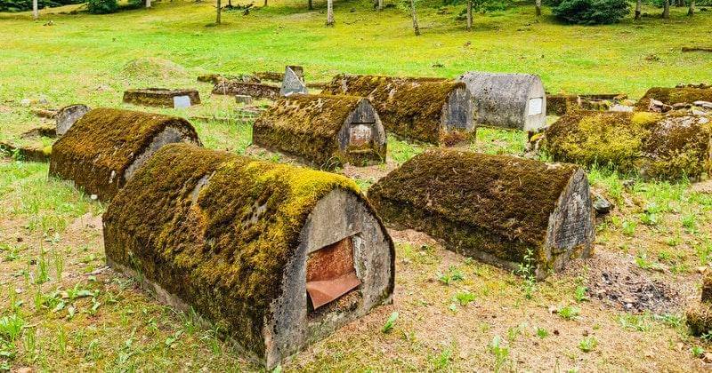 Pexels/Dabatepatfotos