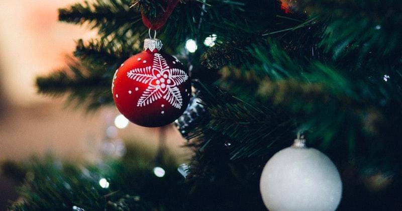 Pexels/freestocks.org