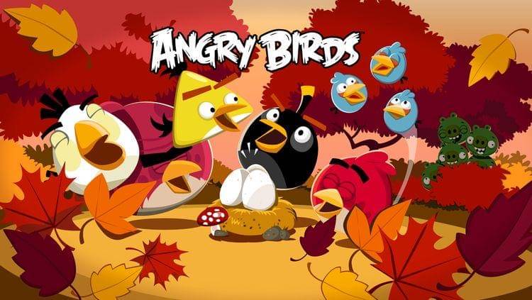 Pinterest.com/@Maltipoostore