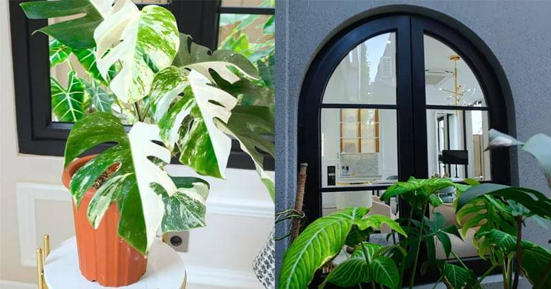 Youtube.com/Titi dan Tian