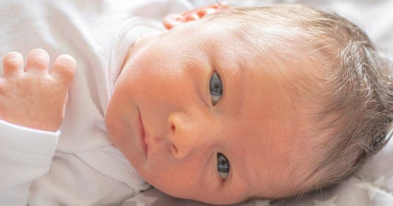 Unsplash/Hossein Shirgir