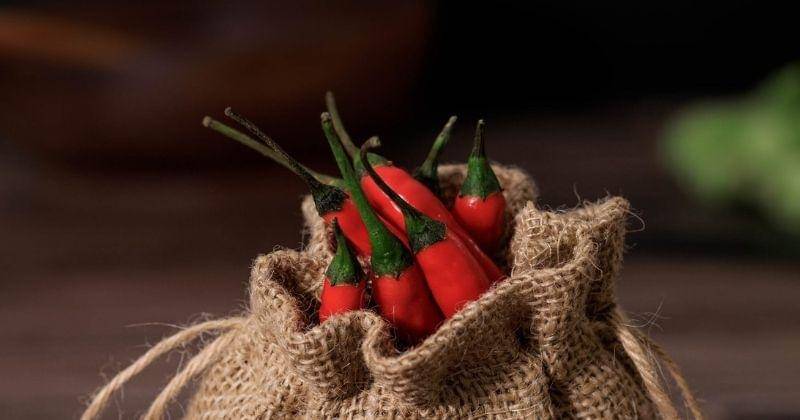 Pexels/Victoria-bowers-148548814