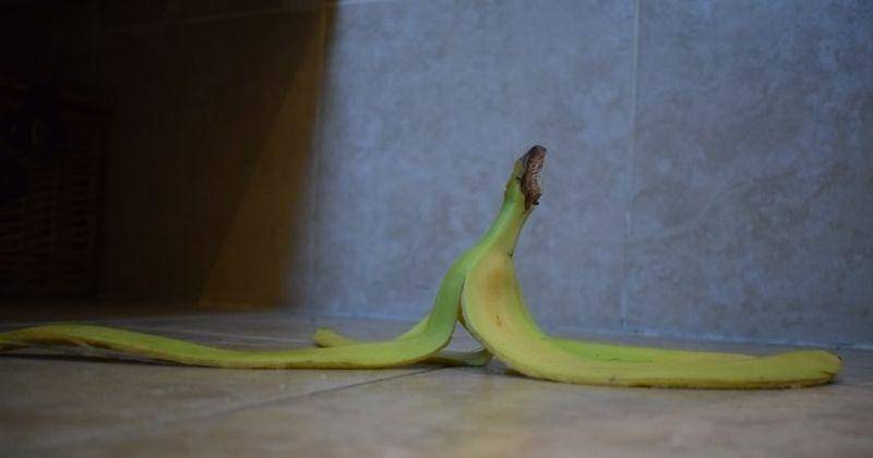 Unsplash/Mostpeoplecallmemilo