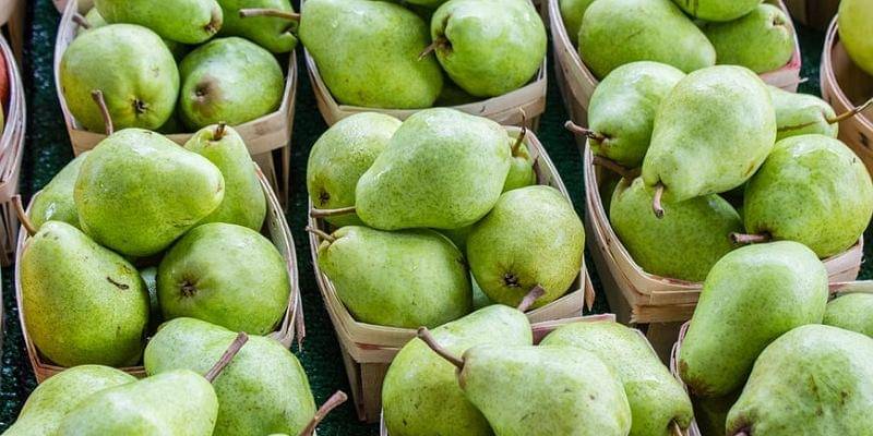 Unsplash/Jonathan Mast