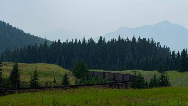 Pexels/braeson-holland-3640662