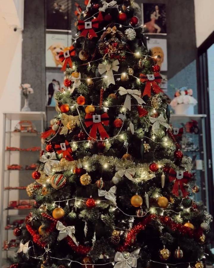 Instagram.com/felicyangelista_