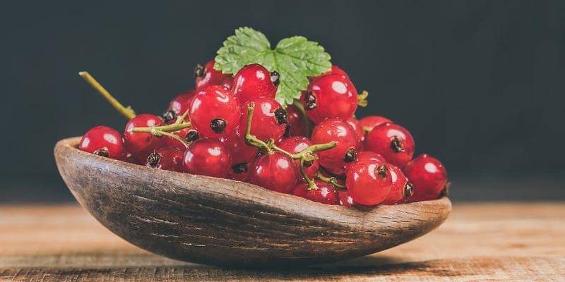 Pexels/Ylanite Koppens