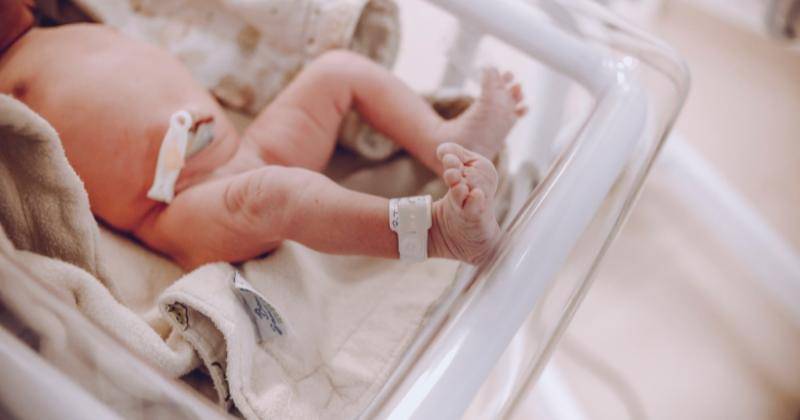 Canva/Vidal Balielo Jr.