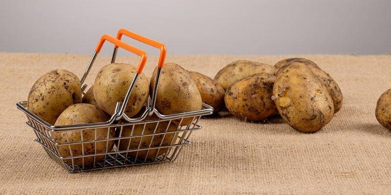 Unsplash/Andrey Metelev