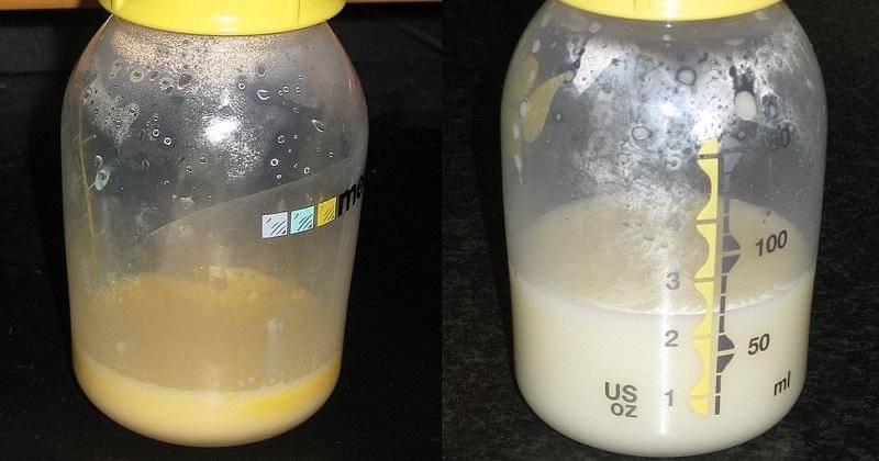 Perbandingan kolostrum (kiri) dengan ASI biasa (kanan). - Wikipedia