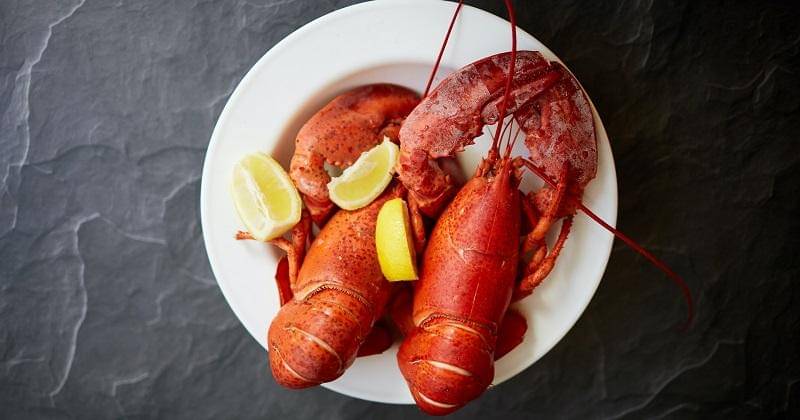 Unsplash/David Todd McCarty