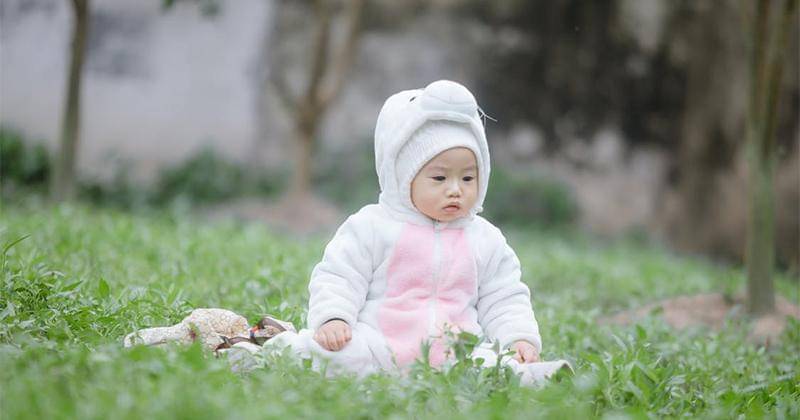 Pexels/Tuấn Kiệt Jr.