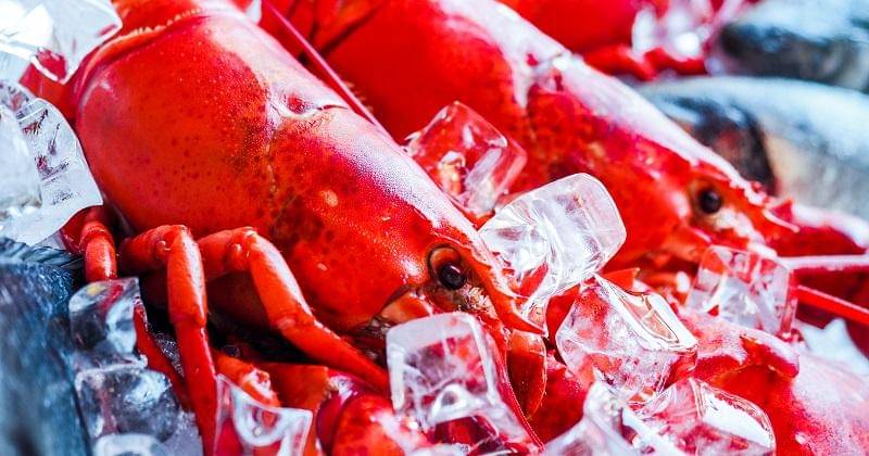 Pexels/energepic.com