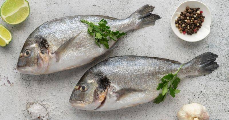 Freepik.com/azerbajian_stockers