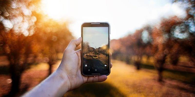 Pexels/Dhyamis Kleber 