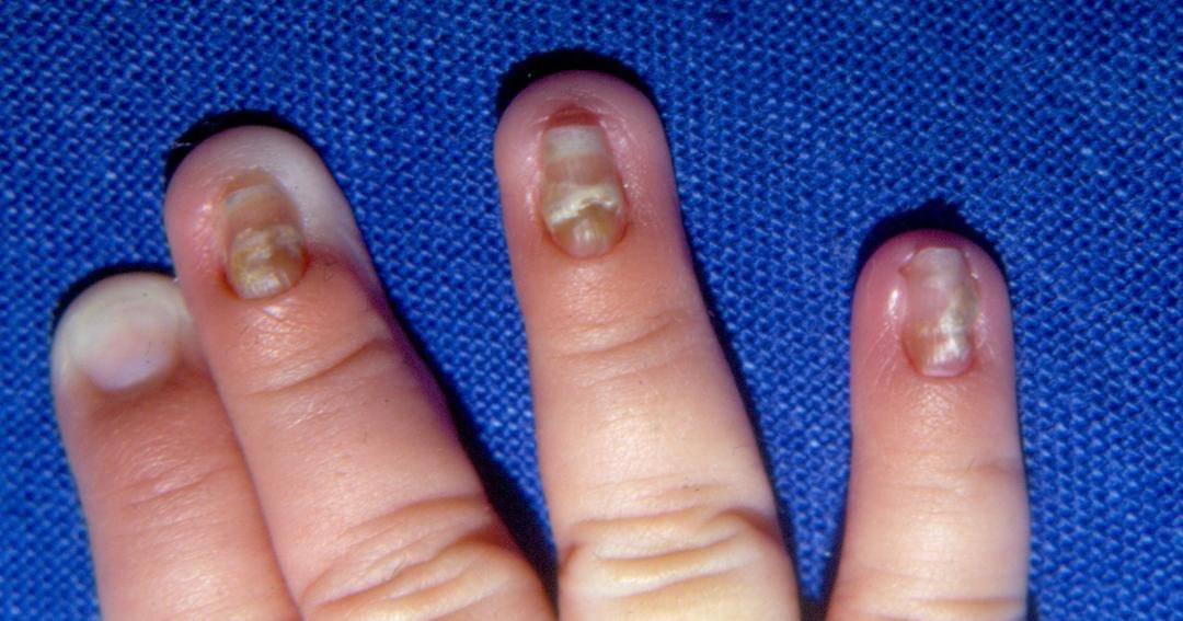 onlinelibrary.wiley.com