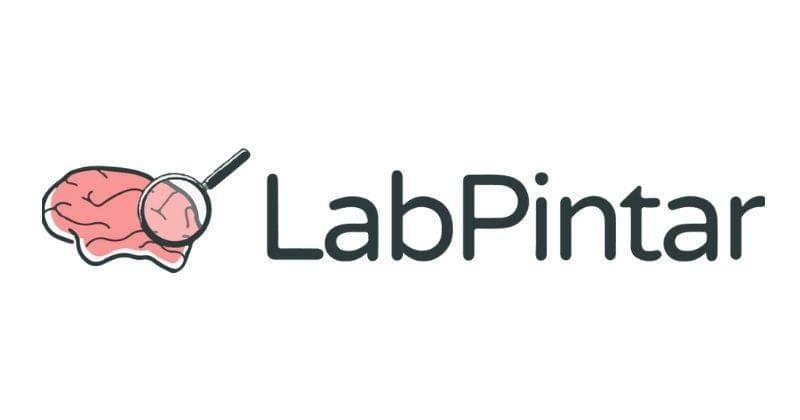 labpintar.com