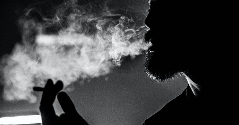 Pexels/Petar Starčević