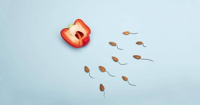 Pexels.com/Deon Black