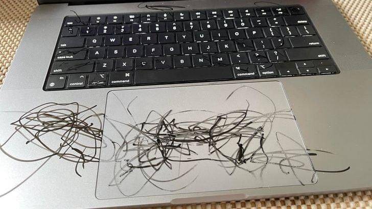 Reddit/Epitomeofabnormal