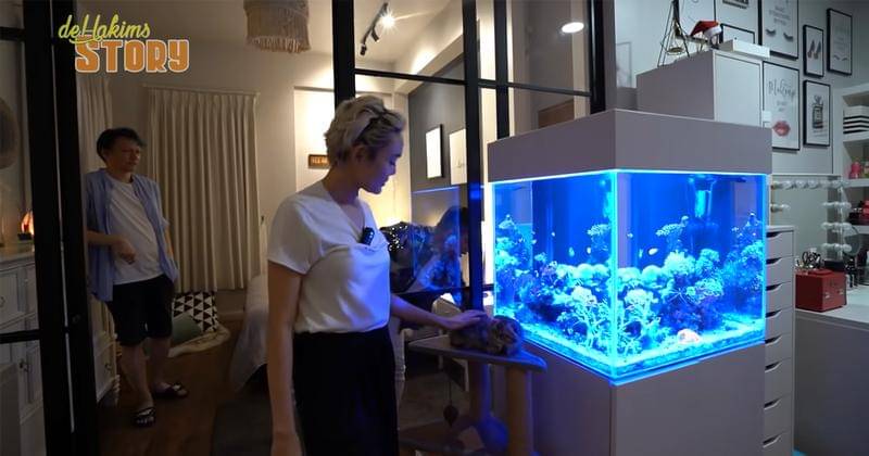 Youtube.com/deHakims Story