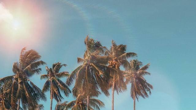 Pexels/marctutorials-298692