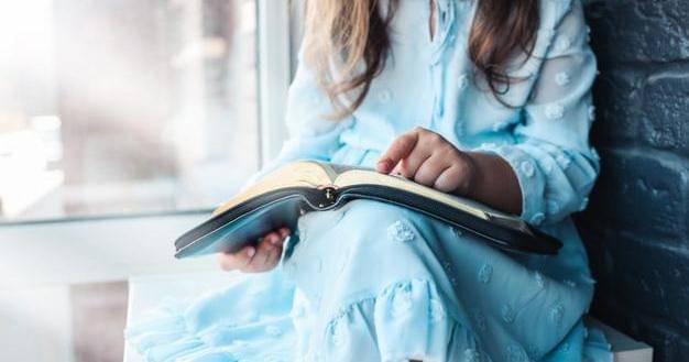 Freepik/plusonevector