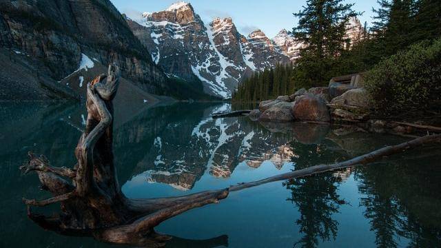 Pexels/ezra-comeau-1257076