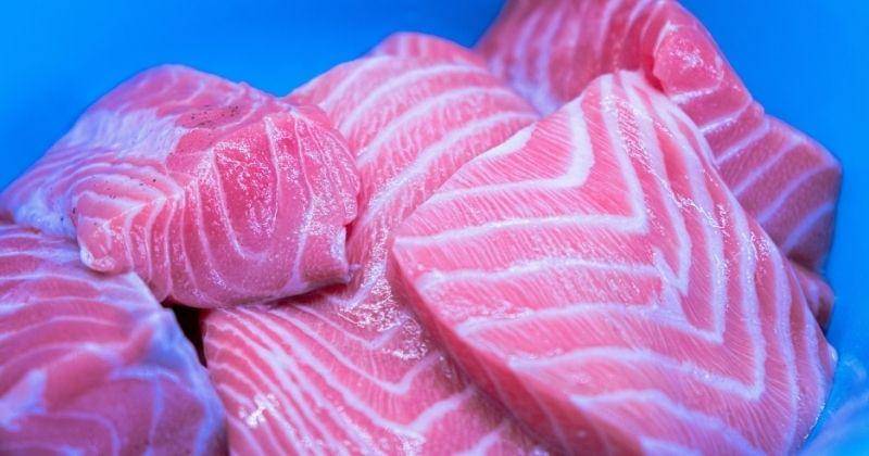 Unsplash/Victor Serban