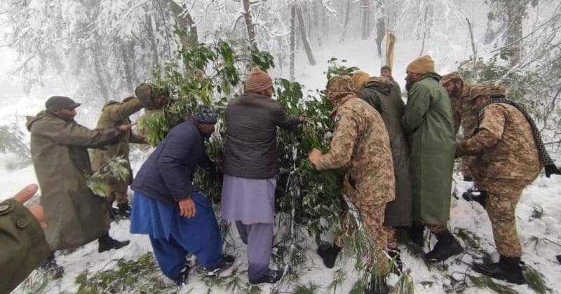 twitter.com/Developing Pakistan