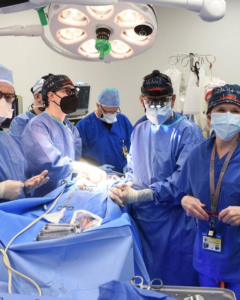 Dok. UNIVERSITY OF MARYLAND SCHOOL OF MEDICINE