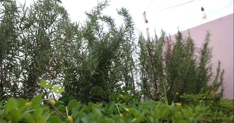 Youtube.com/Sharena Delon - Party Of Four