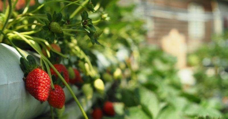 Unsplash/Ttttaylor9095