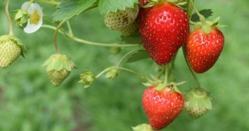 Unsplash/4themorningshoot