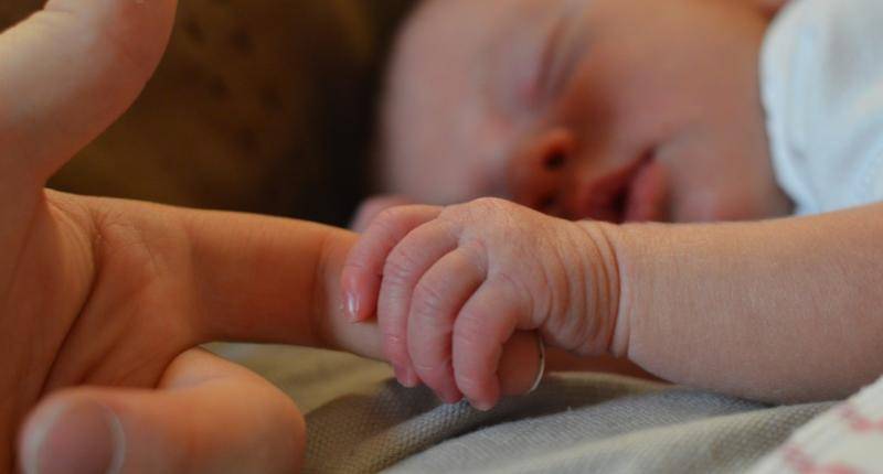 pexels.com/Wayne Evans