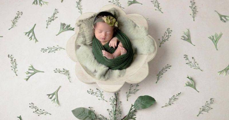 Instagram.com/ichiphotography