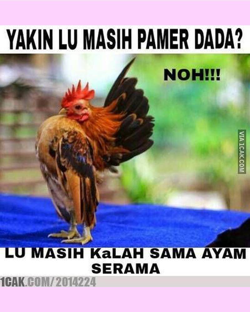 1cak.com