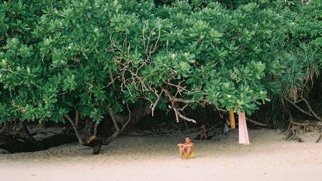 Pexels/vladimir-konoplev-155326297