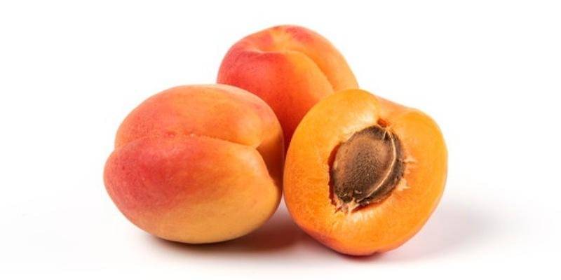 Freepik/azerbaijan_stockers