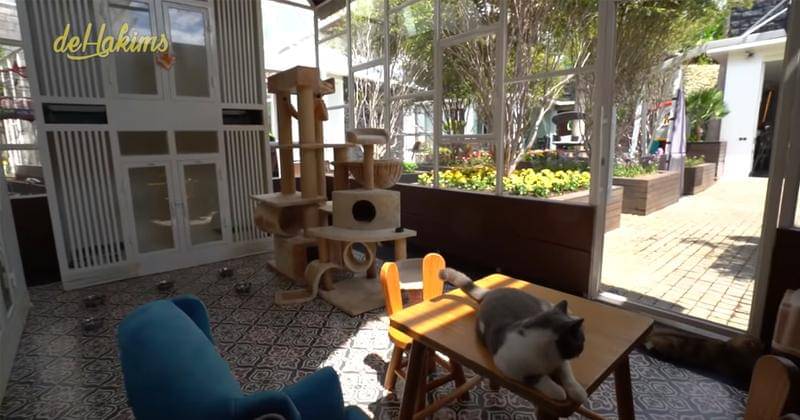 Youtube.com/deHakims 