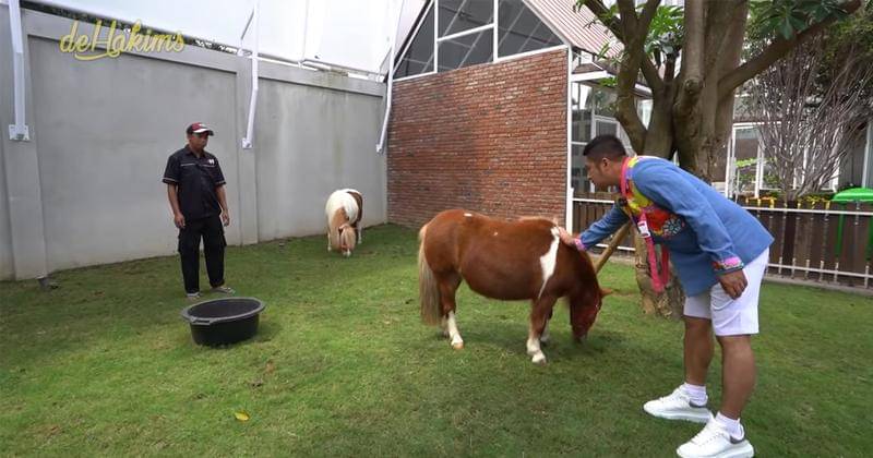 Youtube.com/deHakims 