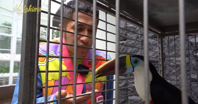 Youtube.com/deHakims 