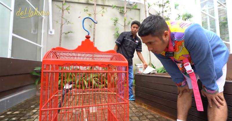 Youtube.com/deHakims 