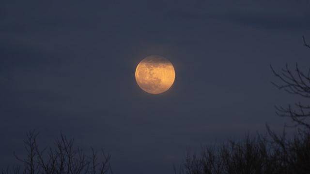 Pexels/limonovdigital