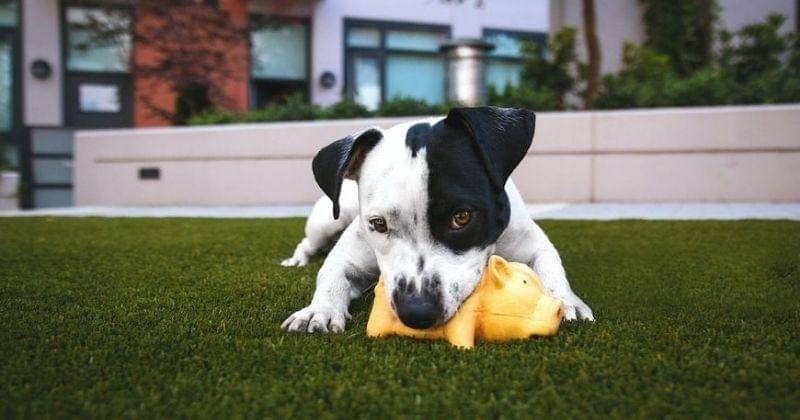 Unsplash/Justinveenema