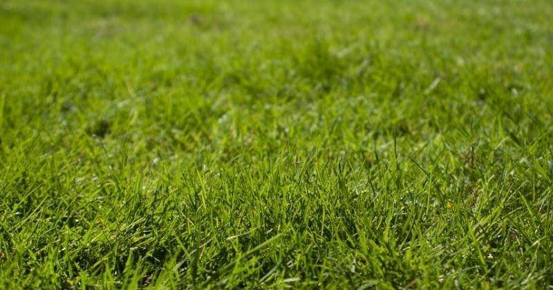 Unsplash/Bradley_brister