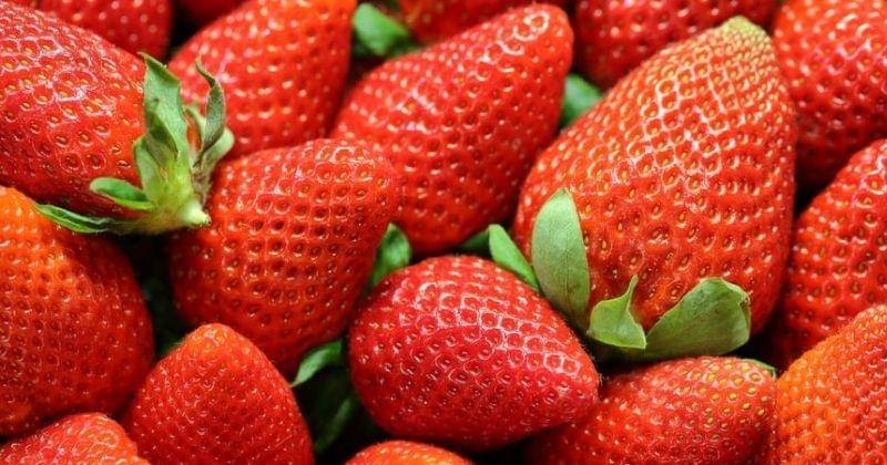 Unsplash/Maksimshutov