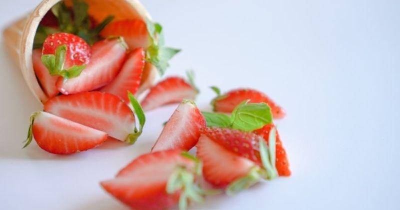 Unsplash/Rabbit_in_blue