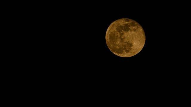 Freepik/brett-sayles